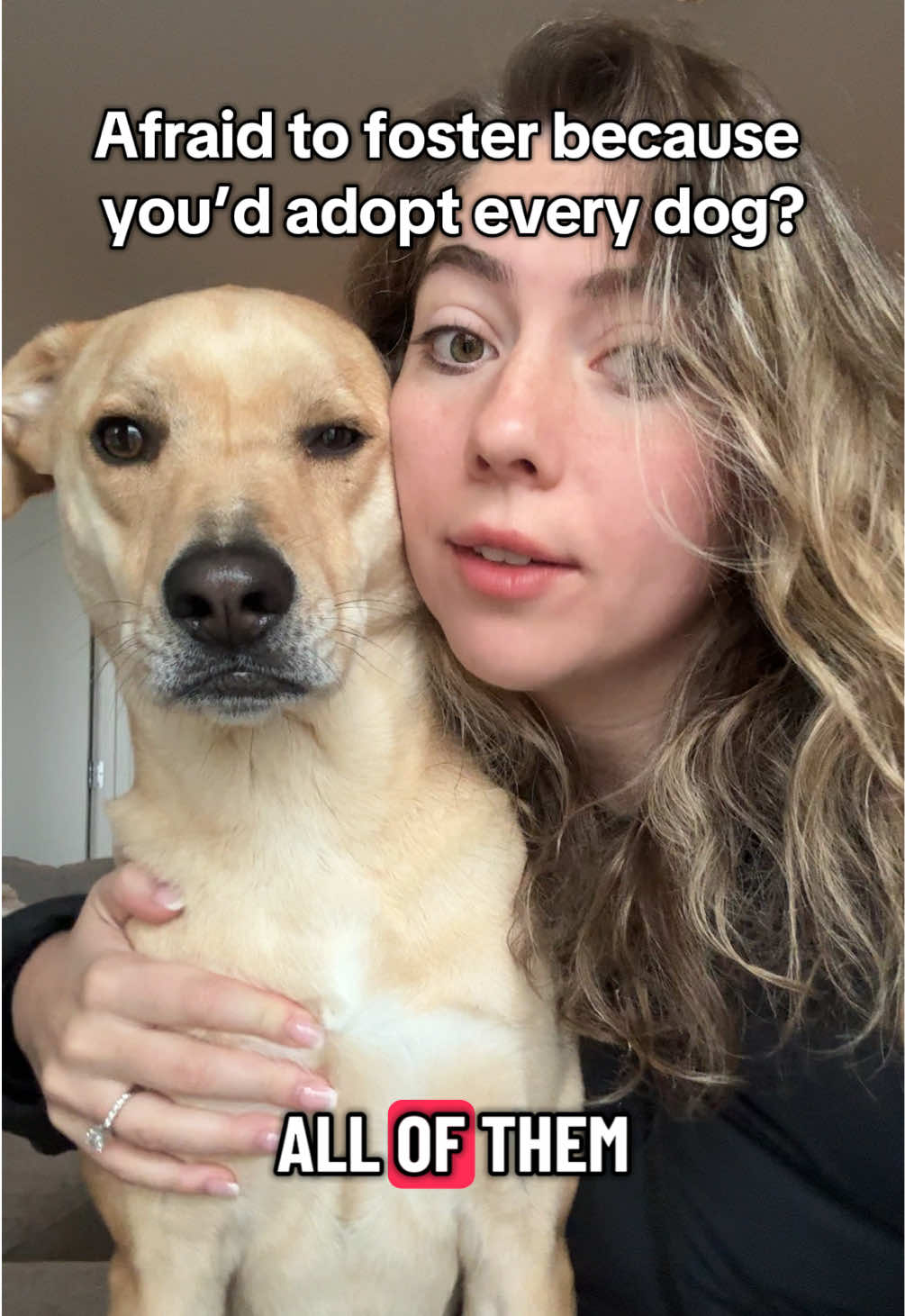 You don’t have to adopt them all to make a difference 🤍 Every dog I foster, I love like they’re my own, but fostering isn’t about keeping them, it’s about helping them find their forever. That’s the greater good. #fosteringsaveslives #dogrescue #adoptdontshop 