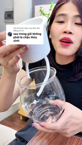 Trả lời @Đào Bùi Măng ớt b1 bình thuỷ sinh trồng gừng #chauthuysinh #kimthach 