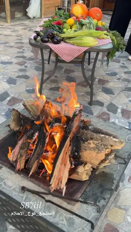 #منتجع_كوخ_الاحلام_بتنومة #النماص_الجنوب_عسير_تنومة_بني_شهر_عمرو #اكسبلورexplore❥🕊🦋💚❤🕊️habiby،💛💛🧡🧡😬 #تصويري_سنابي_يوميات #الشعب_الصيني_ماله_حل😂 