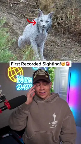 This is wild!! Huge credit to Angel Hidalgo!👏