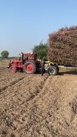 #jamalitractorshowroomshahdadpur @M A J ❤️🔥 