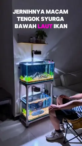 Suka ketenangan boleh cuba bela ikan ni, tambah pulak akuarium cantik ni comfirm buat rumah berseri seri#fyppppppppppppppppppppppp #aquariummurah #aquarium #tankaquarium #tiktokviral
