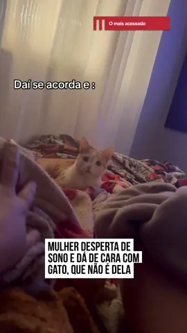 😼 Marcela acordou do sono da #beleza e reparou algo estranho nas cobertas da #cama. Quando conferiu do que se tratava, deu de cara com um gatinho descansando no edredom tranquilamente. Porém o curioso é que Marcela não é tutora de nenhum gato. O felino invadiu a #casa, se aconchegou na cama e decidiu ficar por ali mesmo. 