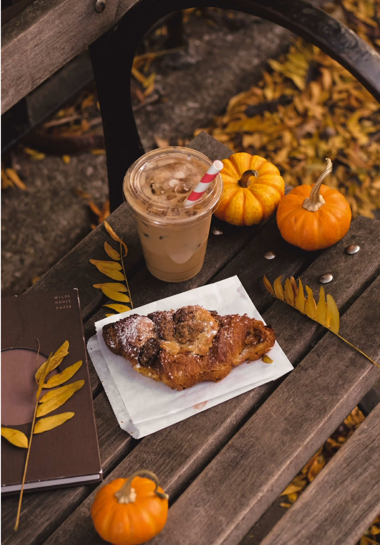 the magic of an autumn stroll around the Brooklyn Heights neighborhood of NYC 🥹🍂✨ I LOVE a windy day during the fall, because all the leaves and colors just start swirling around 🍁 these clips are from a couple days ago! #falltok #fallvibes #brooklyn #autumninnewyork #nyc 