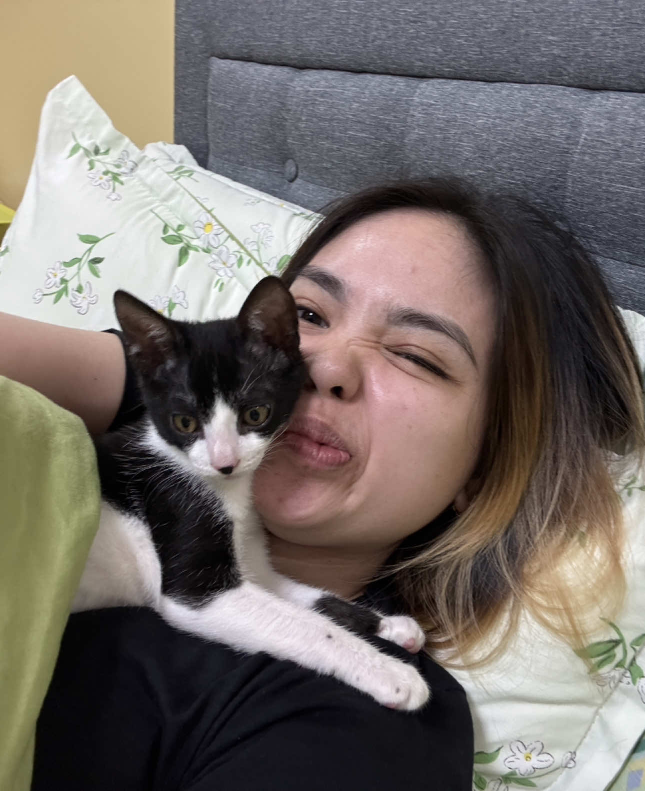 cuddles  i love you my chichu! #fyp #jisoolife🐱 #cats #catsoftiktok 