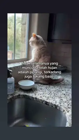 Bakso mana ya oyen udh lapar 🤣🤣🤣#fyp #trending #viral #tiktok # videofunny 