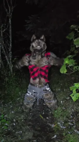 Happy Halloween, you wild creatures! 🌕🐺 This is my tribute to “Howl of the Beast” by Endlen — the legendary yet criminally uncredited piece that inspired the 