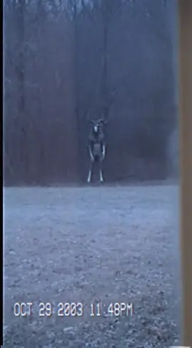 PART 5 | 11:48PM #fyp #analog #halloween #sora #horrortok 