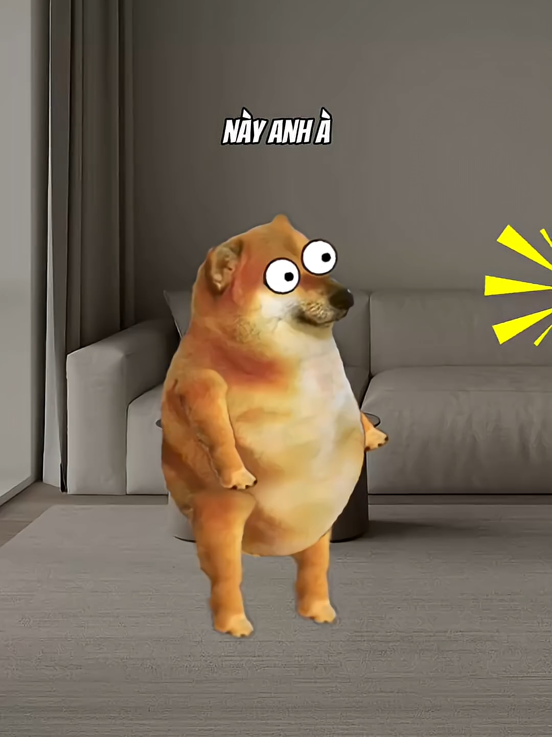 Tặng quà đơn phương chỉ thích hợp khi tiết thanh minh #cheems