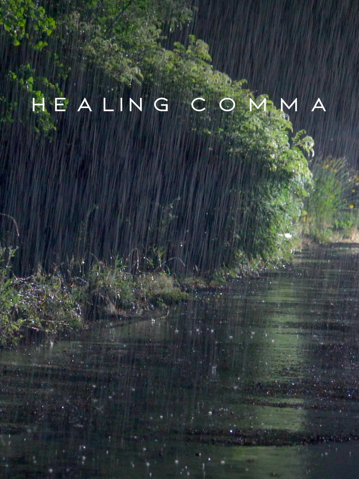 Rainy night, heavy rain and thunder that makes you fall asleep comfortably - rain that helps you forget insomnia. #asmr #rainsound #rainsoundsforsleeping #rain #rainsounds #tiktok #relaxing #thunder