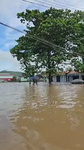 Nước về chiều 30/10 tại xã Hàm Thuận Bắc Bình Thuận củ nay Lâm Đồng mọi người đang còn chống lũ video :Phạm Phong ☹️#binhthuan #hamthuanbac #hamtri 