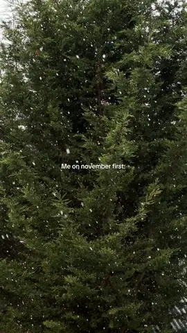 can‘t wait🥺🎄✨ #christmas#christmasvibes#winter#cozytime#advent