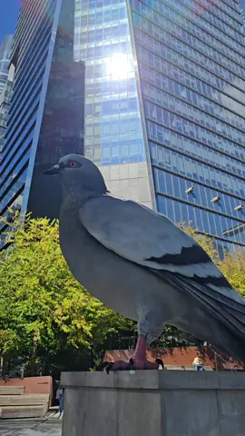 #hudsonyard #nuevayork🗽♥️🇺🇸 #manhatan #♥️♥️♥️♥️♥️ 