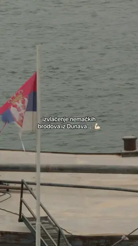 🚢 U operaciji Dunavski vilenjak je tokom Drugog svetskog rata potopljen veliki broj nemačkih ratnih brodova koji i dan-danas ometaju plovidbu.  👉🏻 Zbog toga je pokrenut veliki projekat njihovog uklanjanja iz Dunava, a mi smo obišli jedini koji je dosad izvučen - priču o ovom projektu delimo sa vama na našem portalu.  #eupravozato 