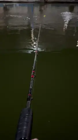 Yang sudah tertakar tidak mungkin tertukar😁 #joranpancing  #mancing  #galatamabawal  #foryou  #fyp 