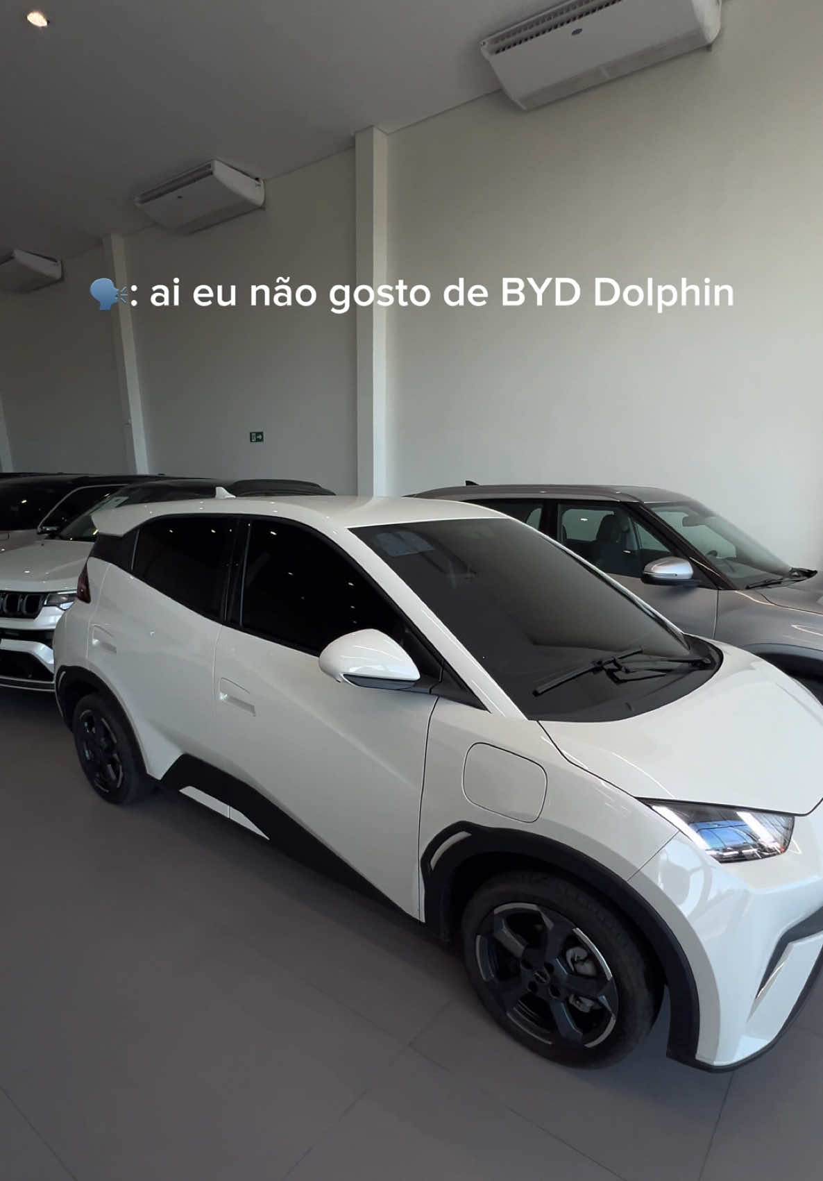 Em pleno século XXI imagina não gostar do BYD Dolphin Mini. ✅ Disponível  #dolphin #byd #carroeletrico #carstiktok 