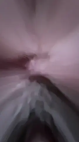 #سماحة_اية_الله  #السيد_علي_السستاني