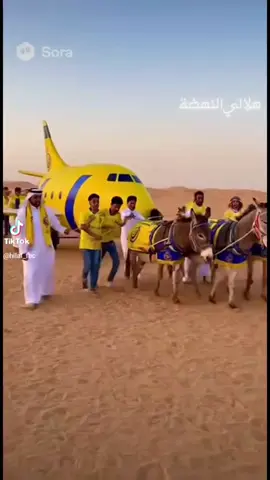 ههههه وصلت الطيارة الجديدة للنصر 