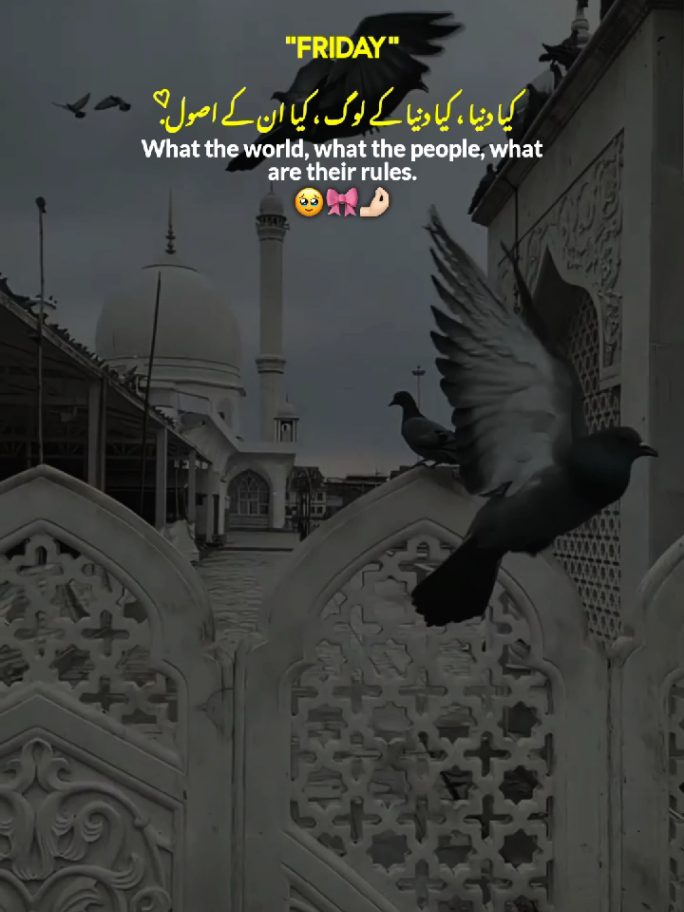 Friday 🌼🤲🏻 || Jummah Mubarak 🌙🕋💗 || Friday Status 🌙 || Jummah Mubarak New Status Video ✨ #jummahmubarak #friday #new #statusvideo #fyp 