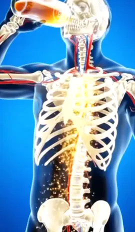 🍺 Love beer? You’ll be surprised — here are 5 health benefits of drinking it in moderation! 😲 #BeerBenefits #HealthFacts #ModerationMatters #WellnessTips #StayHealthy