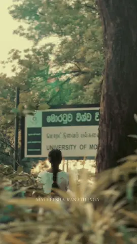 She came back to where it all began 20:09:1994 : the day that she submitted her thesis ✨ #truthToBeRemembered #UniversityofMoratuwa #yogeshwari #charithaattalage #fanmadevideo @Minesi @Charitha Attalage (Fans) @Charitha Attalage Edits 
