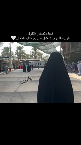 منذ زيارتي الاخيره وأنا مشتاق لك يامولاي #ملاك_حسن #مشاهدات #هواجيس 