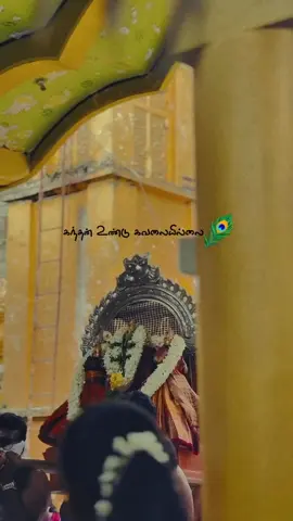 🦚🙏🏻கந்தன் உண்டு கவலையில்லை🙏🏻🦚 #muruga