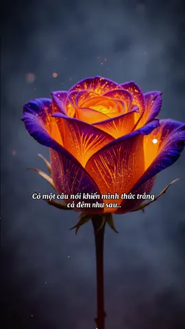 #trietlycuocsong #nhânquả #tam #xuhuongtiktok #tamlinhhuyenbi 