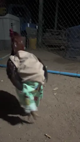 ช่วย ด๊วยยยย🤣#ฟีดดดシ #ฟีคทีtiktok #ดันขึ้นฟีดที 