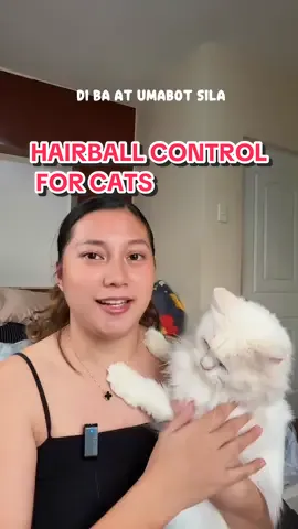 One of the worries ng cat owners ay ang pagsusuka ng hairball ng mga cattos natin, so I hope maging useful itong 3 Tips ko on how to control them!  Switch niyo na yung dry food niyo to Royal Canin Hairball Control ❤️ #RoyalCaninPh #royalcanin #catsph #catsoftiktok #foryoupage 