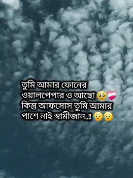 #CapCut #প্রবাসীর বউ #✈️✈️✈️i miss U pahki 🥹🥹🥹