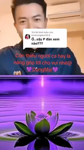 #duet cùng @Võ Hoàng Phi 1976 