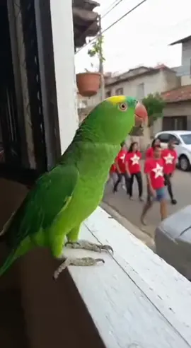 Tirem a roupa do varal e escondem a carteira 🤣🤣🤣🤣🤣