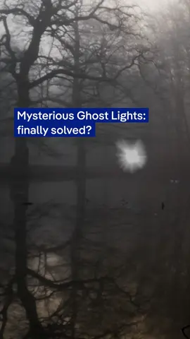 Ghostly blue flames flicker in the dark. They’ve been called will-o’-the-wisps, jack-o’-lanterns, ignis fatuus — strange lights that hover over swamps and graveyards. Folklore says they’re spirits. Sciencetists are still uncovering their true origin. In wetlands and marshes, methane gas builds up naturally as vegetation decays in oxygen-poor environments, causing little sparks here and there. But what exactly lights the spark? The theory points to microlightning as the possible culprit. Researchers have recreated microscopic lightning in the lab — electric sparks form when tiny methane and air bubbles collide. … this might explain how those spooky lights flicker into existence. Author: Vincent Abert Study: Y. Xia, Y. Meng, J. Shi, & R.N. Zare, Unveiling ignis fatuus: Microlightning between microbubbles, Proc. Natl. Acad. Sci. U.S.A. 122 (41) e2521255122, https://doi.org/10.1073/pnas.2521255122 (2025). #EerieLights #MiniLightning #WillOTheWisp #GhostLights #ParanormalActivity #Microlightning