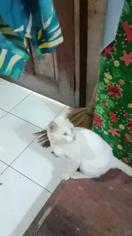 ayaw bemb*ng gusto ayaw pasok arayko#fyp #trending #fypシ゚viral 