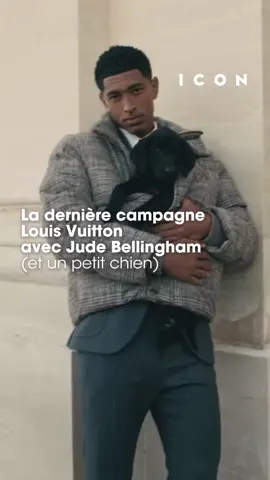 Pharrell est vraiment trop fort 🔥 #pharrellwilliams #vuitton #louisvuitton #judebellingham #cutepets 