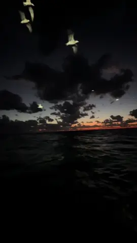 Không sao rồi cũng sẽ có một người thật lòng vì em..