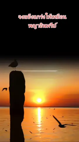 #จงแข็งแกร่งให้เหมือนพญาอืนทรีย์ #ข้อคิด #คติเตือนใจ #คติเตือนตน #แรงบันดาลใจ 