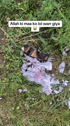 #pakistani_tik_tok #muslimtiktok #punjab 