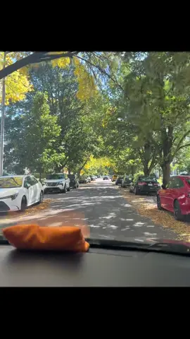 #fypシ #foryoupage #viral #punjabi #california 