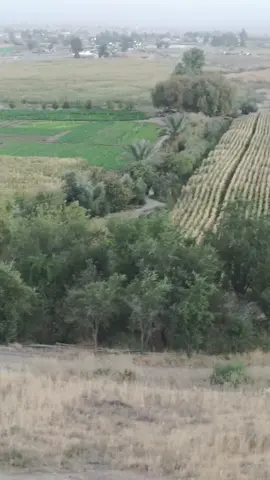 #foryoupage❤️❤️ #foryourpage #حاجیاوا #کوردستان_سلێمانی_کەرکوک_هەولیر #خەبات 