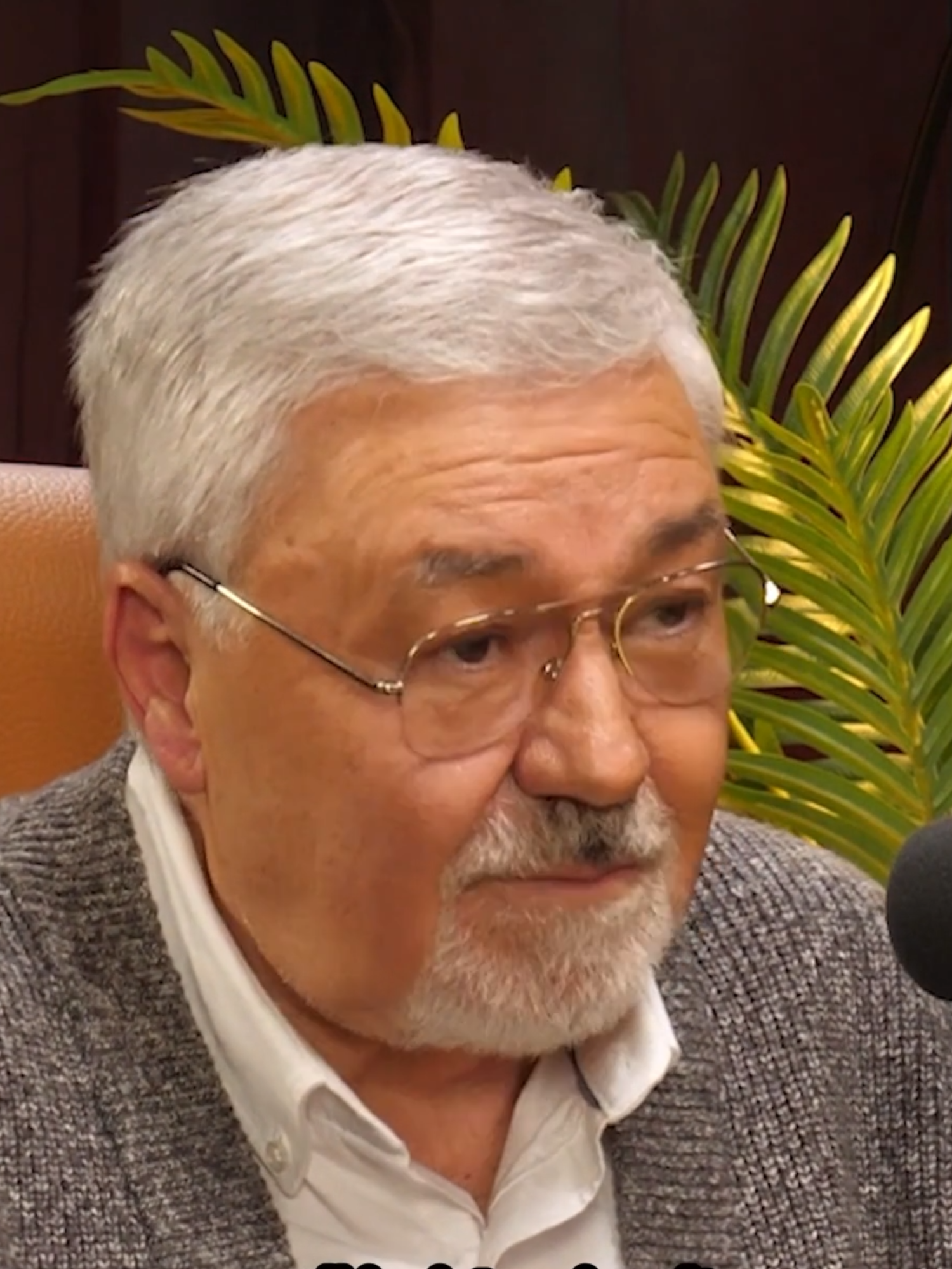 Ionel Stoica a povestit cum a decurs un interviu cu Nadia Comăneci. Cum a schimbat-o America pe „Zeița de la Montreal”? Powered by @vidaxl.com (P) Acest material conține plasare de produse. #unpodcast #boofmedia #ionelstoica #vidaxl