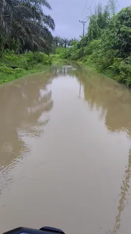 Banjir Bandang #fyp #hujanbadai #banjirkebunsawit #lagubugis #masukberandamufypシviraltiktok 
