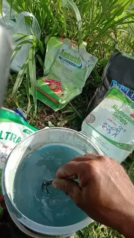 semua di mix kedala 20 liter air maaf 🙏🙏 bukan mau mengedukasi, tapi saya hanya berbagi pengalaman🙏 #cmk #tangguhf1 #petaniindonesia🇮🇩🇮🇩🇮🇩🌿🌿 #fyp 