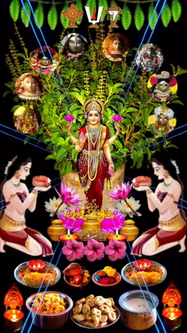 #jaytulshimata🙏🙏 💖❤️🕉️🌹seemore