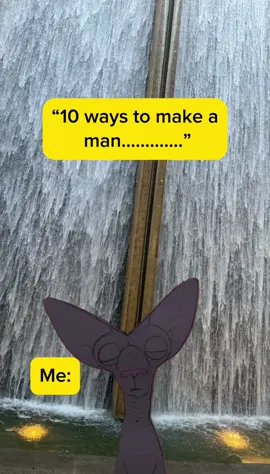 Moveeeeeee!!!#unavailablegemini♊️ #fyp #xyzbcafypシ #fyppppppppppppppppppppppp #tiktok #Meme #MemeCut 