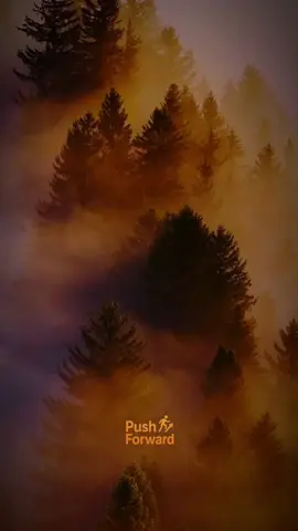 when you switch your phone to airplane mode #citation #conseil #motivation #quotes #english 