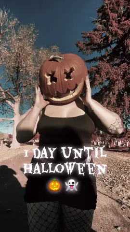 HALLOWEENS TOMORROW #halloweencountdown #pumpkinseason #pumpkinphotoshoot #pumpkintrend #viral 