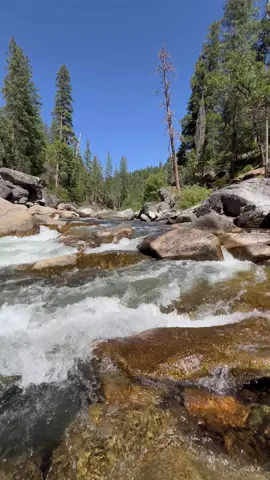 Wishing you a peaceful morning from where the wild river runs free 💦⛰️  #goodmorning #mountainriver #waterpower #californianature #asmrsounds 