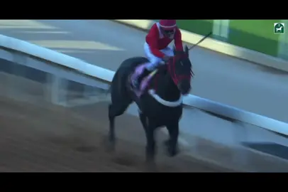 #الخيال عبدالعزيز _الفريدي.    #الخيل_عشق_لاينتهي🐎❤️ #ماشاءالله_تبارك_الله_اذكروا_ا#ميدان_الملك_عبدالعزيز_للفروسية #اكسبلورexplore❥🕊🦋💚❤️❤️❤️👍👍 